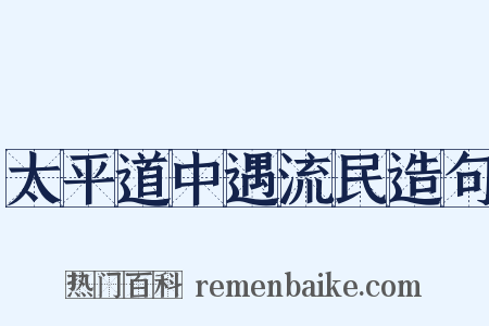 太平道中遇流民造句是什么意思的图片